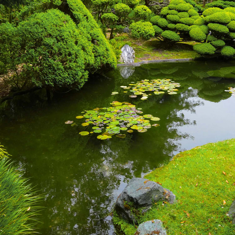 Pompa submersibila de drenaj pentru apa murdara 750W, 12500 L/h, TROTEC TWP 7536 E