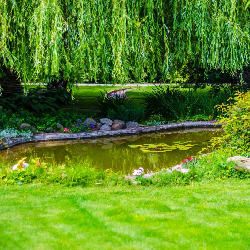 Pompa submersibila de drenaj pentru apa murdara 900W, 15000 L/h, TROTEC TWP 9000 ES